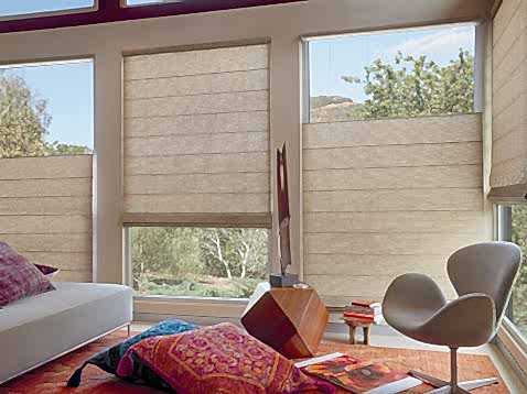 Vignette Roman Shades with Top-down/Bottom-up